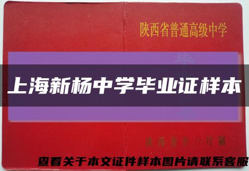 上海新杨中学毕业证样本缩略图