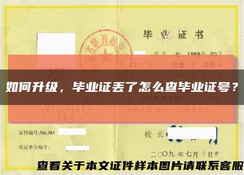 如何升级，毕业证丢了怎么查毕业证号？缩略图