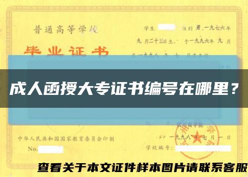 成人函授大专证书编号在哪里？缩略图