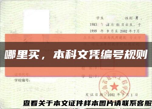 哪里买，本科文凭编号规则缩略图