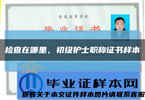 检查在哪里，初级护士职称证书样本缩略图