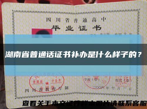 湖南省普通话证书补办是什么样子的？缩略图