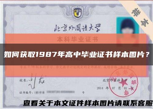 如何获取1987年高中毕业证书样本图片？缩略图