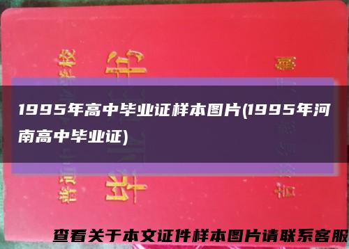 1995年高中毕业证样本图片(1995年河南高中毕业证)缩略图