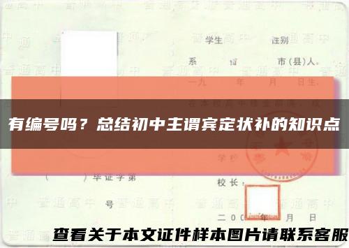 有编号吗？总结初中主谓宾定状补的知识点缩略图