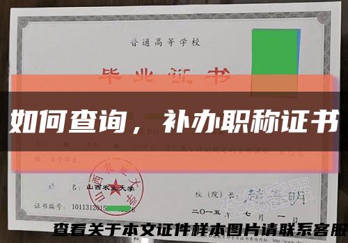 如何查询，补办职称证书缩略图