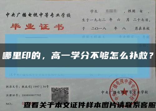 哪里印的，高一学分不够怎么补救？缩略图