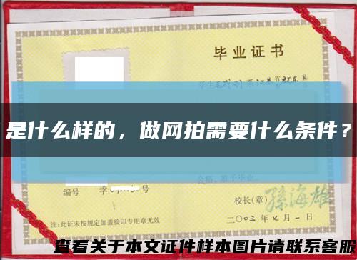 是什么样的，做网拍需要什么条件？缩略图