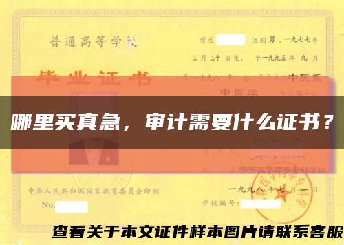 哪里买真急，审计需要什么证书？缩略图