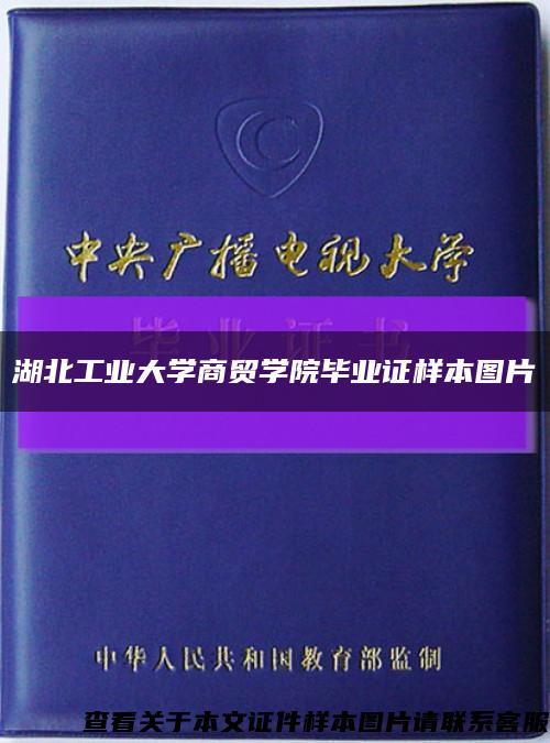 湖北工业大学商贸学院毕业证样本图片缩略图