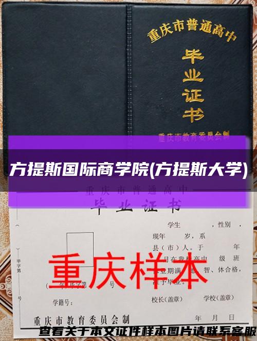 方提斯国际商学院(方提斯大学)缩略图