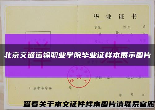 北京交通运输职业学院毕业证样本展示图片缩略图