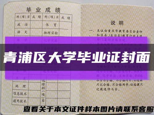 青浦区大学毕业证封面缩略图