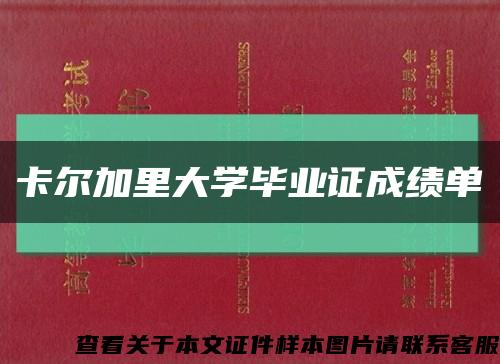 卡尔加里大学毕业证成绩单缩略图