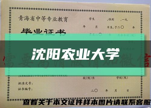 沈阳农业大学缩略图