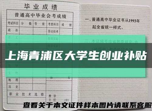 上海青浦区大学生创业补贴缩略图