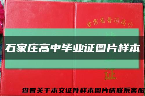 石家庄高中毕业证图片样本缩略图