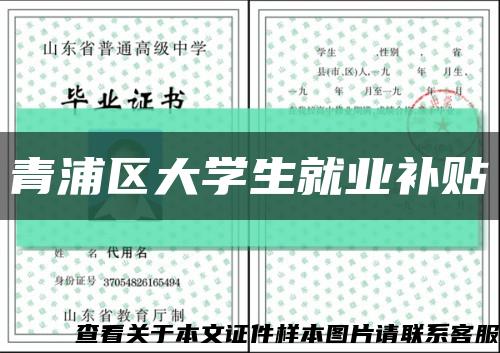 青浦区大学生就业补贴缩略图
