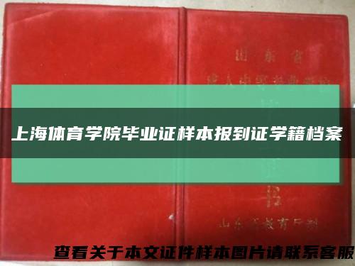 上海体育学院毕业证样本报到证学籍档案缩略图