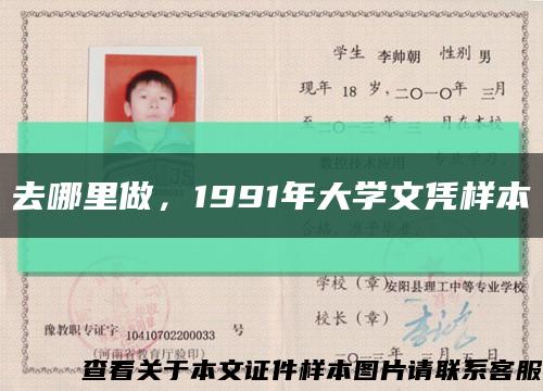 去哪里做，1991年大学文凭样本缩略图