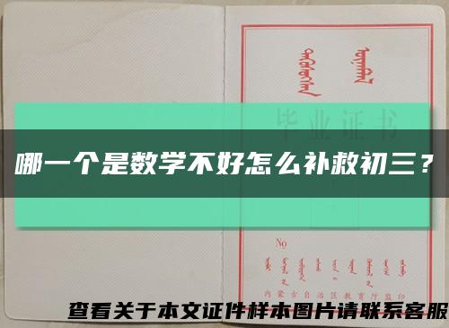 哪一个是数学不好怎么补救初三？缩略图