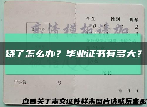 烧了怎么办？毕业证书有多大？缩略图