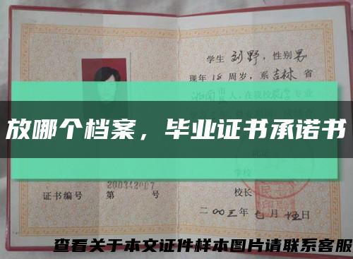 放哪个档案，毕业证书承诺书缩略图