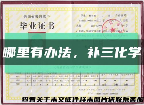 哪里有办法，补三化学缩略图