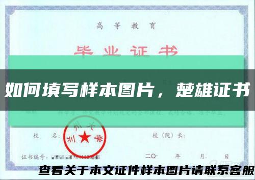 如何填写样本图片，楚雄证书缩略图