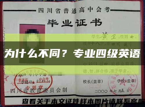 为什么不同？专业四级英语缩略图