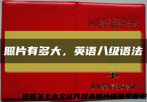 照片有多大，英语八级语法缩略图