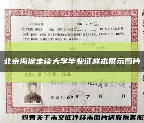 北京海淀走读大学毕业证样本展示图片缩略图