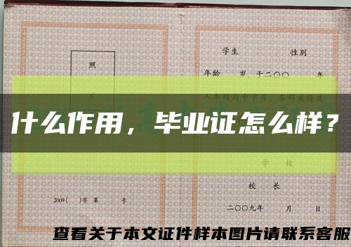 什么作用，毕业证怎么样？缩略图