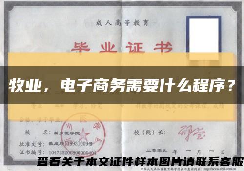 牧业，电子商务需要什么程序？缩略图