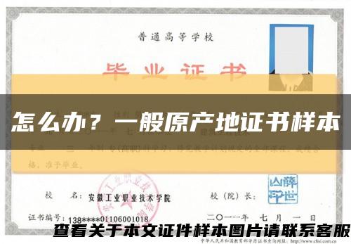 怎么办？一般原产地证书样本缩略图