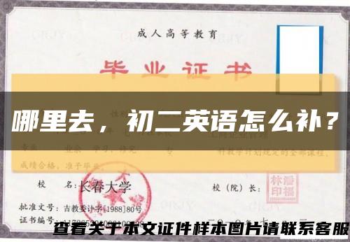 哪里去，初二英语怎么补？缩略图