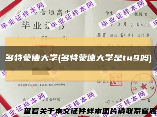 多特蒙德大学(多特蒙德大学是tu9吗)缩略图