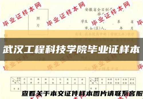 武汉工程科技学院毕业证样本缩略图