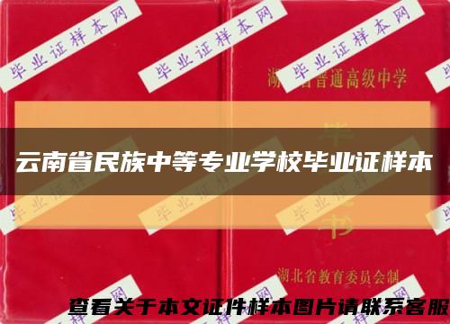 云南省民族中等专业学校毕业证样本缩略图