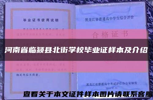 河南省临颍县北街学校毕业证样本及介绍缩略图