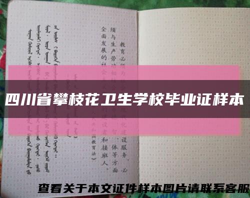 四川省攀枝花卫生学校毕业证样本缩略图