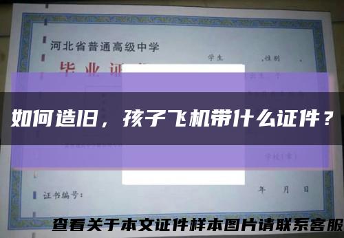 如何造旧，孩子飞机带什么证件？缩略图