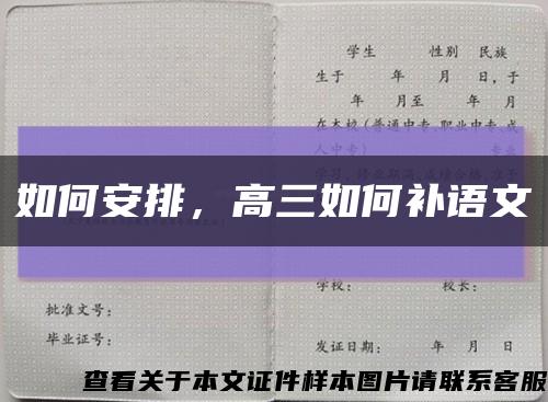 如何安排，高三如何补语文缩略图