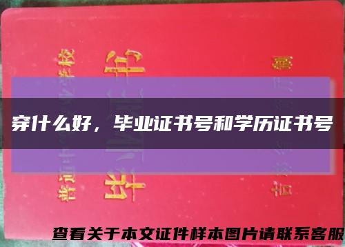 穿什么好，毕业证书号和学历证书号缩略图