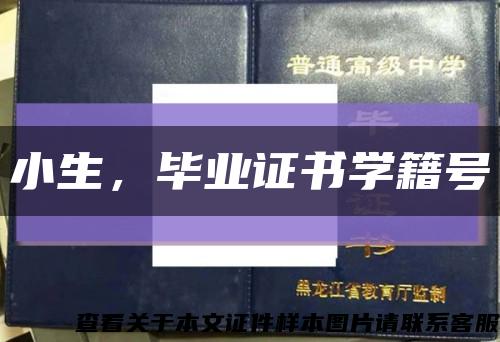 小生，毕业证书学籍号缩略图