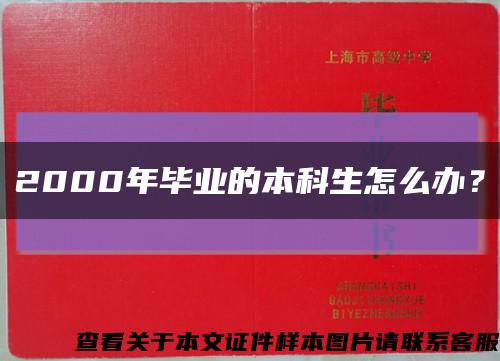 2000年毕业的本科生怎么办？缩略图