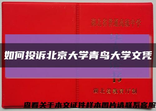 如何投诉北京大学青鸟大学文凭缩略图