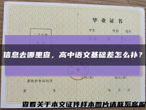 信息去哪里查，高中语文基础差怎么补？缩略图