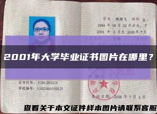 2001年大学毕业证书图片在哪里？缩略图