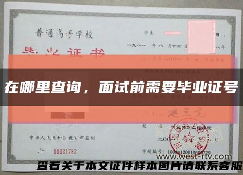 在哪里查询，面试前需要毕业证号缩略图